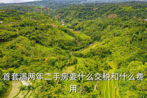 賣滿2年的房子交什么稅，商品房滿2年了出售的話需要交哪些稅詳細點