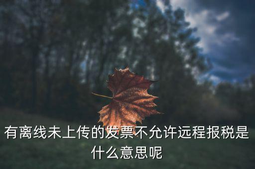 遠(yuǎn)程報稅是什么意思，征期抄報稅和遠(yuǎn)程報稅是一個概念嗎有什么區(qū)別呢