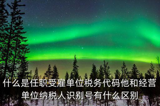 報(bào)稅自然人識(shí)別號(hào)是什么，個(gè)稅申報(bào)顯示存在相同唯一識(shí)別號(hào)是什么意思