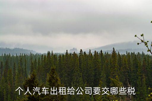 車輛租賃交什么稅，轎車租賃需繳納多少稅控