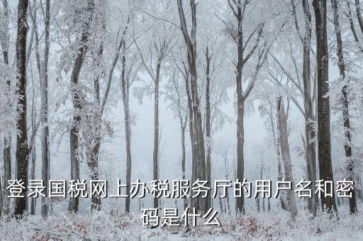 什么是電子稅務(wù)局登錄賬號(hào)，登錄國稅網(wǎng)上辦稅服務(wù)廳的用戶名和密碼是什么
