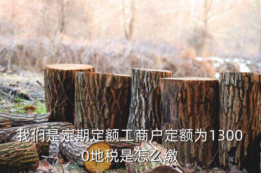 地稅定期定額戶是什么意思，我們是定期定額工商戶定額為13000地稅是怎么繳