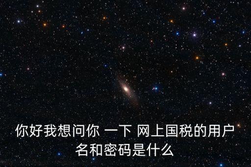 什么是電子稅務(wù)局密碼，你好我想問你 一下 網(wǎng)上國稅的用戶名和密碼是什么