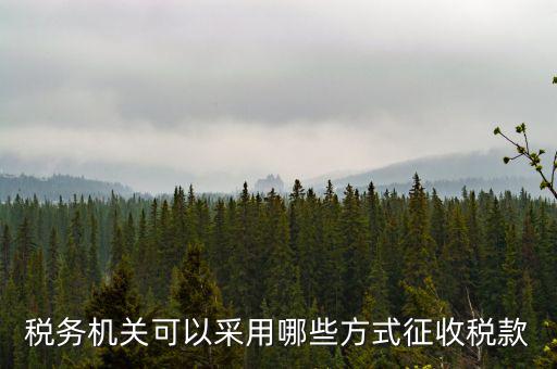 稅務(wù)局按什么征收稅務(wù)，稅務(wù)機(jī)關(guān)可以采用哪些方式征收稅款