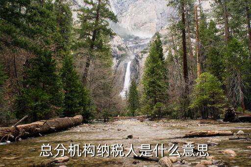 非總分機(jī)構(gòu)什么意思，總分機(jī)構(gòu)納稅人是什么意思