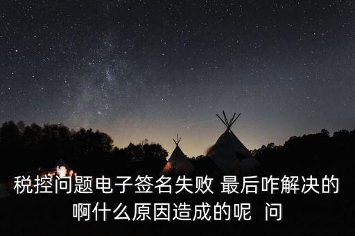 什么是稅控簽名，報稅時數(shù)字簽名是甚么意思