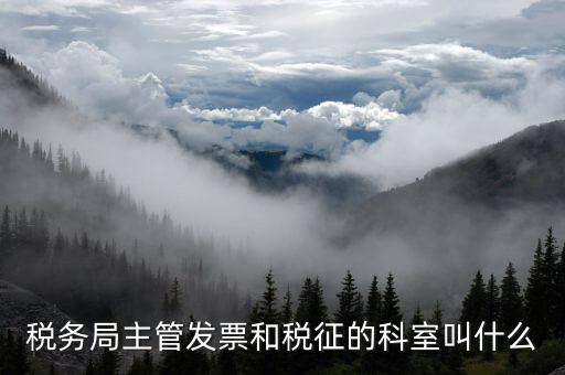 國稅稅務(wù)局都有什么科，稅務(wù)局主管發(fā)票和稅征的科室叫什么