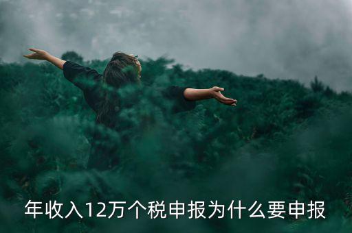為什么12萬個稅申報表，12萬以上個人所得稅申報是什么意思