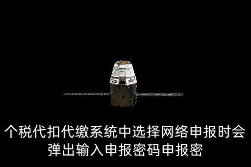 個稅申報密碼是什么意思，網(wǎng)上報稅 報稅密碼是什么