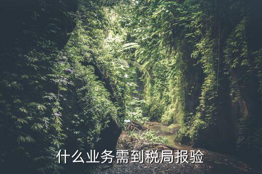 什么是稅務(wù)報(bào)驗(yàn)，地稅發(fā)票報(bào)驗(yàn)是什么回事啊 怎么報(bào)驗(yàn)什么時(shí)候報(bào)驗(yàn)啊