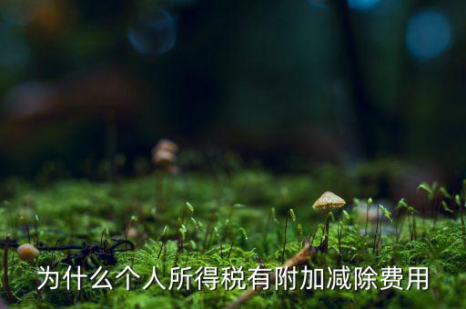 個(gè)稅減除費(fèi)用是什么，個(gè)人所得稅費(fèi)用扣除什么意思