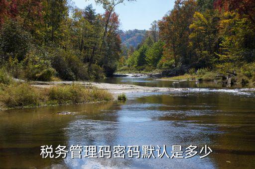 稅務(wù)管理碼密碼默認是多少