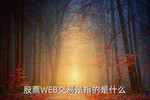 e稅通是什么，微軟認證是什么意思