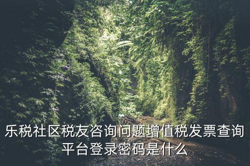 發(fā)票認證平臺登陸密碼是什么，國稅局發(fā)票軟件里用戶代碼和密碼是什么