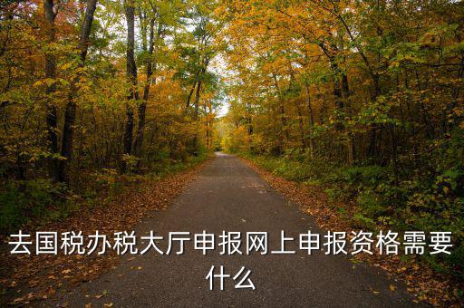國稅網(wǎng)上申報用什么資料，去國稅辦稅大廳申報網(wǎng)上申報資格需要什么