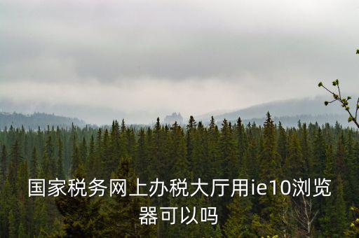 國稅網(wǎng)上申報用什么瀏覽器，山東國稅網(wǎng)上申報系統(tǒng)需要什么瀏覽器