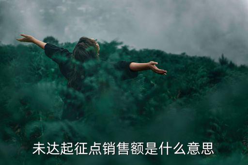 未達(dá)起征點(diǎn)通知書什么意思，打印稅務(wù)事項通知書未達(dá)起征點(diǎn)通知需要什么材料