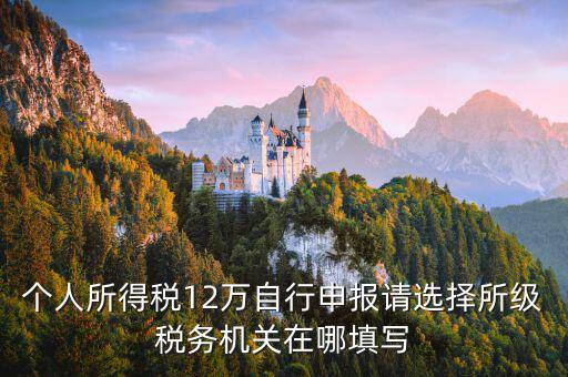 個(gè)人所得稅12萬自行申報(bào)請(qǐng)選擇所級(jí)稅務(wù)機(jī)關(guān)在哪填寫