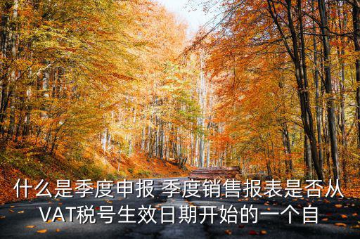 什么是季度申報表，有關(guān)企業(yè)申報的季度報表