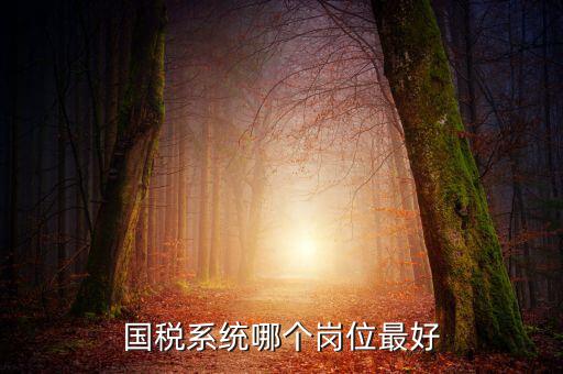 國(guó)稅局什么崗位好，國(guó)稅局哪個(gè)崗位比較好