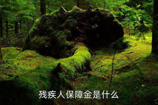 什么叫殘疾人就業(yè)保障金，殘疾人就業(yè)保障金