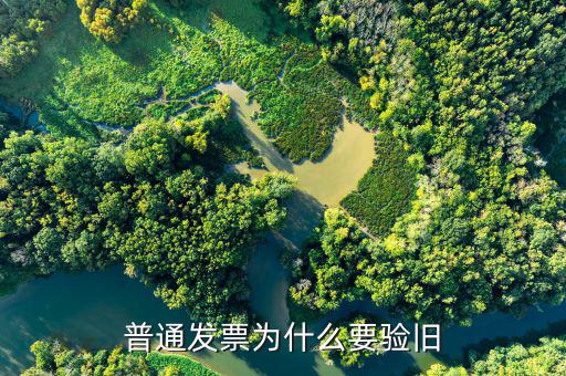 普票驗(yàn)舊驗(yàn)什么，發(fā)票驗(yàn)舊是什么意思