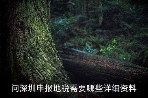深圳市的地稅申報(bào)是什么，深圳市地稅怎么申報(bào)
