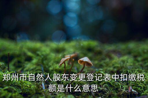 扣繳稅款登記是什么意思，應(yīng)當(dāng)按照稅收征管法等有關(guān)規(guī)定辦理扣繳稅款登記領(lǐng)取扣繳憑