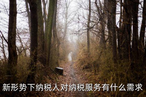 納稅服務(wù)的要求是什么，新形勢(shì)下納稅人對(duì)納稅服務(wù)有什么需求
