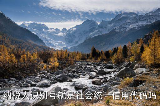 深圳地稅 識別號信用代碼是什么，納稅人識別碼是什么