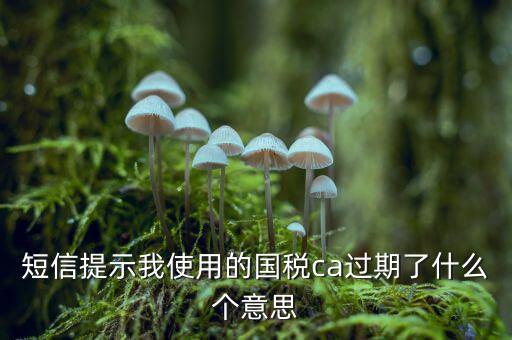短信提示我使用的國(guó)稅ca過(guò)期了什么個(gè)意思
