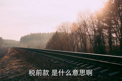 什么是稅前項(xiàng)目費(fèi)，稅前款 是什么意思啊