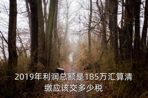 匯算清繳交什么稅，年度匯算清繳應(yīng)交稅率是多少
