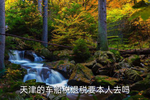 天津的車(chē)船稅退稅要本人去嗎