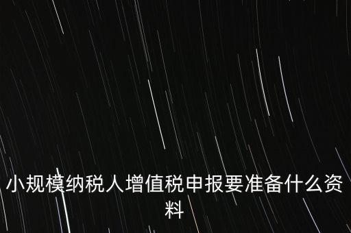 小規(guī)模報稅需要帶什么，小規(guī)模納稅人增值稅申報要準備什么資料
