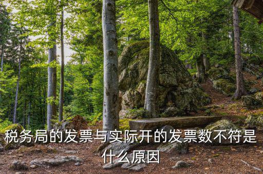 為什么發(fā)票和實物不符，發(fā)票內容和實際不符