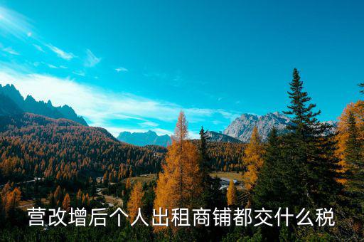 個(gè)人出租商鋪交什么稅，個(gè)人出租商鋪需要繳納什么稅