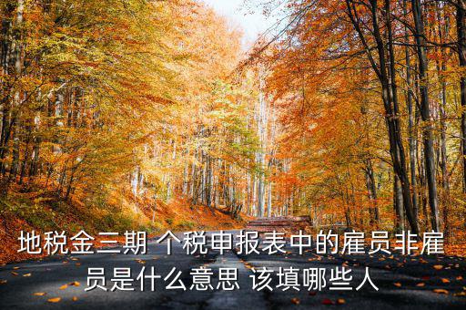金稅四期是什么意思，地稅金三期 個(gè)稅申報(bào)表中的雇員非雇員是什么意思 該填哪些人
