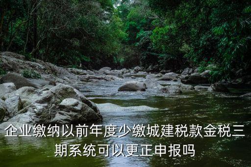 金稅三期更正申報需要什么資料，企業(yè)繳納以前年度少繳城建稅款金稅三期系統可以更正申報嗎