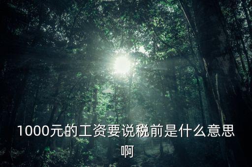 1000元的工資要說(shuō)稅前是什么意思 啊