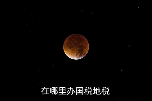 什么在地稅辦，在哪里辦國稅地稅