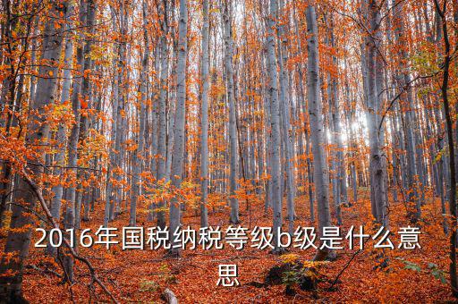 納稅信用等級(jí)評(píng) 什么用，企業(yè)納稅信用等級(jí)有何用處