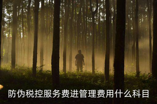 防偽稅控服務(wù)費是什么意思，繳納電子鑰匙的年費是防偽稅控服務(wù)費嗎