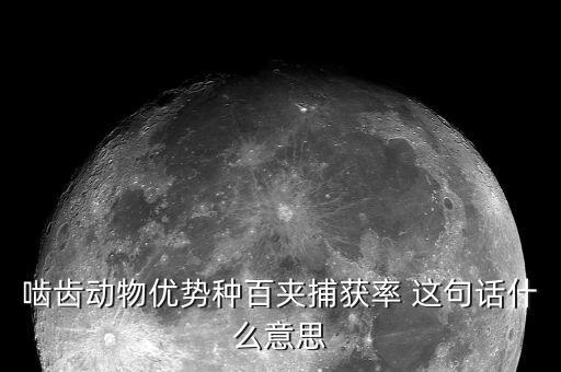 所得捕捉率是什么，餐飲業(yè)中的捕獲率是什么意思