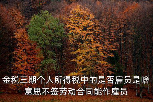 金稅非雇員什么意思，地稅金三期 個(gè)稅申報(bào)表中的雇員非雇員是什么意思 該填哪些人