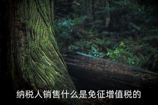 納稅人銷(xiāo)售什么是免征增值稅的