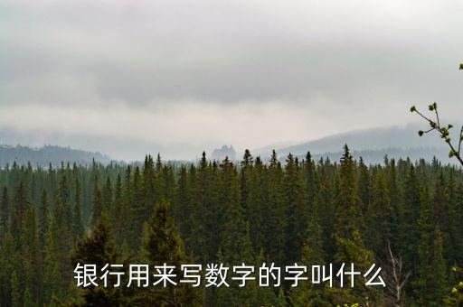 銀行用來(lái)寫(xiě)數(shù)字的字叫什么