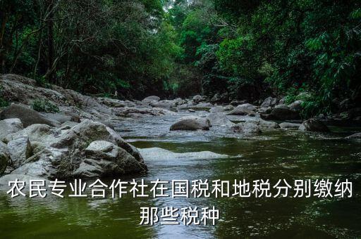 稅務(wù)局向合作社收取什么稅，農(nóng)民專業(yè)合作社在國稅和地稅分別繳納那些稅種