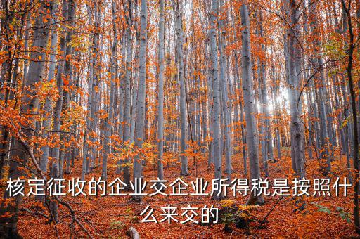 核定稅稅率是按照什么作參照的，稅率按照哪個(gè)來定