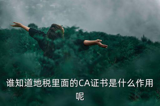 稅務企業(yè)ca登錄是什么意思，網(wǎng)上報稅CA驗證系統(tǒng)是甚么